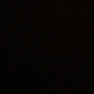 Meet your Posher, Mia